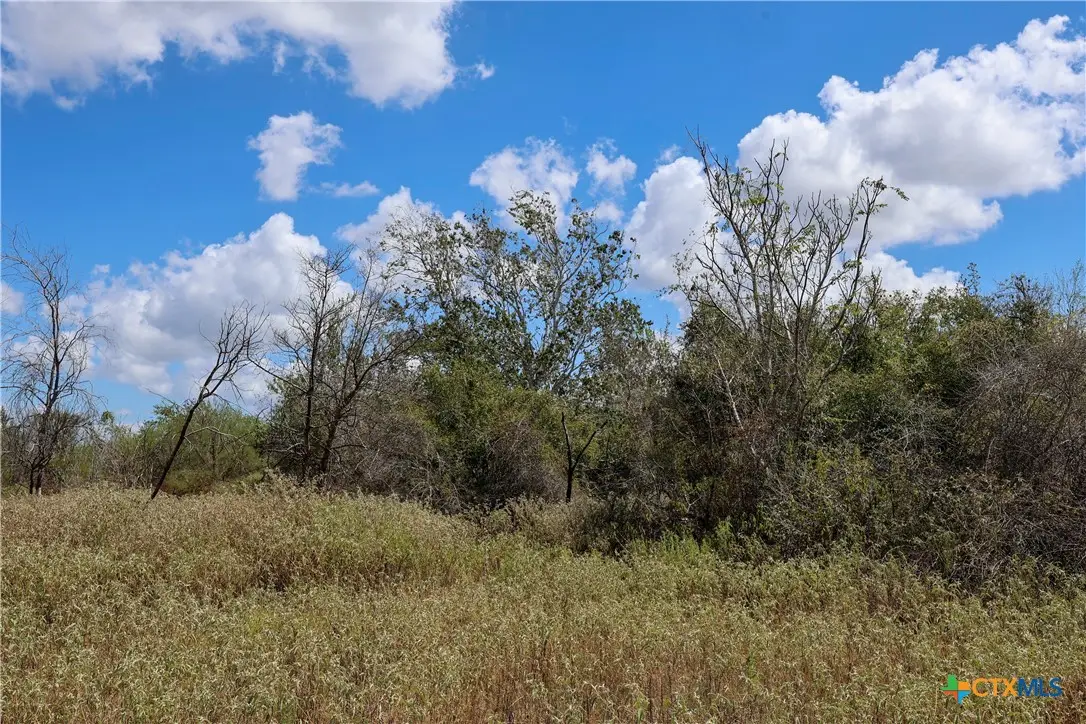 TBD Parsons Road, Victoria, TX 77904 - #1