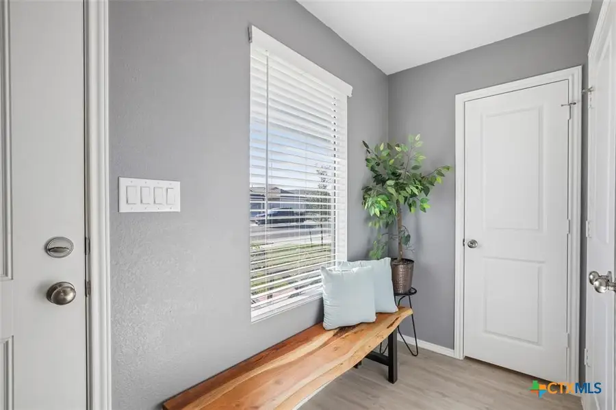 116 Painted Night Road, Hutto, TX 78634 - #3