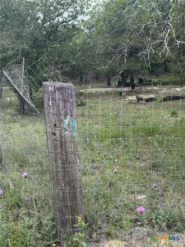 105 Clear Spring Springs, Floresville, TX 78114 - #2