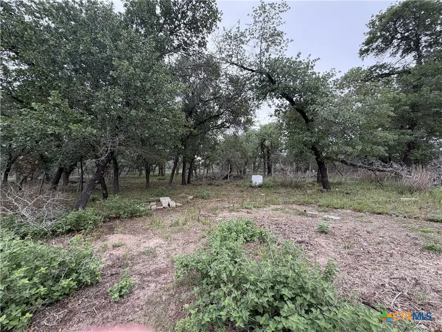 105 Clear Spring Springs, Floresville, TX 78114 - #3