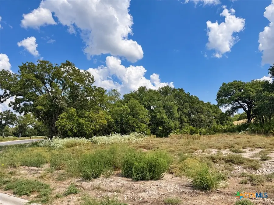 209 Lorhan Falls, Belton, TX 76513 - #2