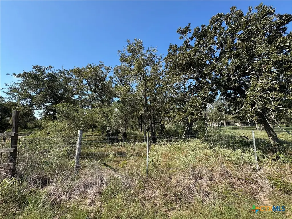379 Sulphur Creek Estates Road, Goliad, TX 77963 - #1