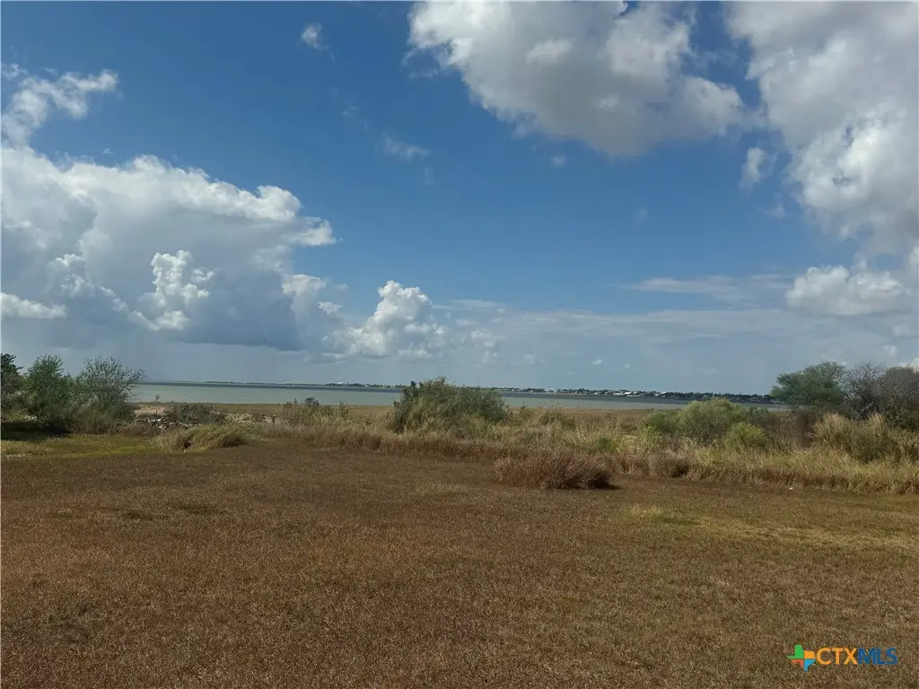 785 Swan Point Road, Seadrift, TX 77983 - #1