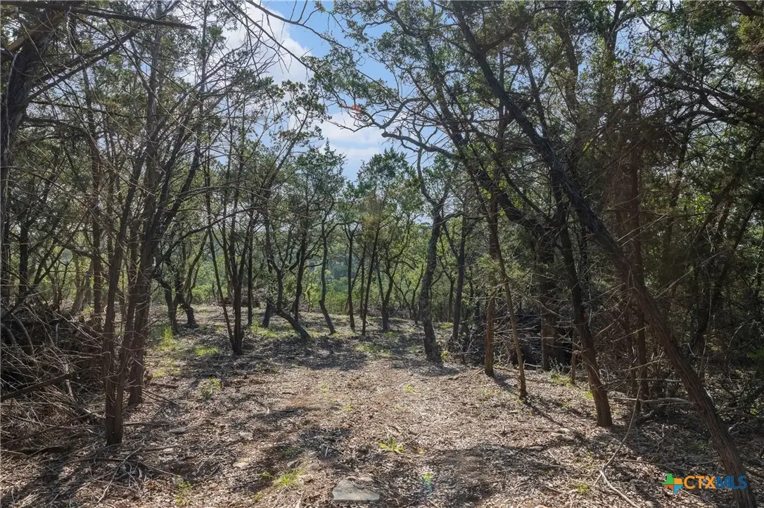 601 Mount Olive School Road, Wimberley, TX 78676 - #1