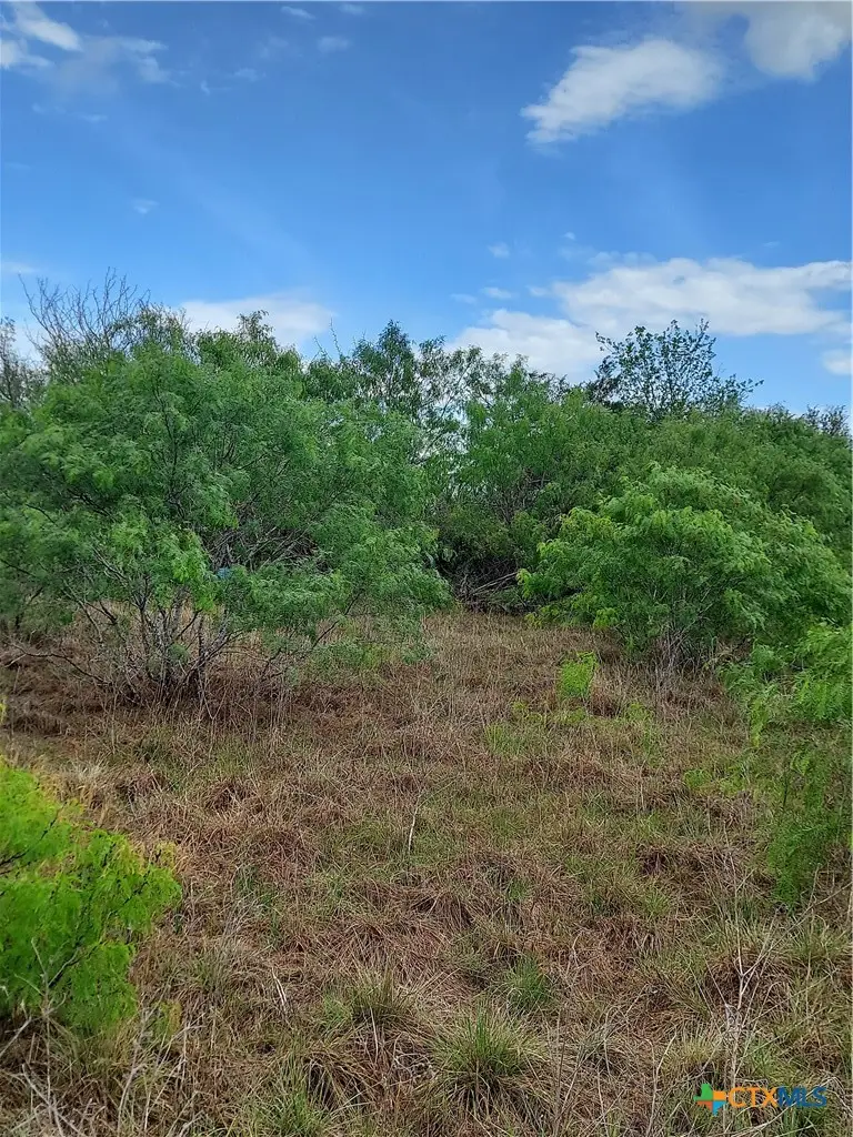 1060 Fox Lane, Lockhart, TX 78644 - #2
