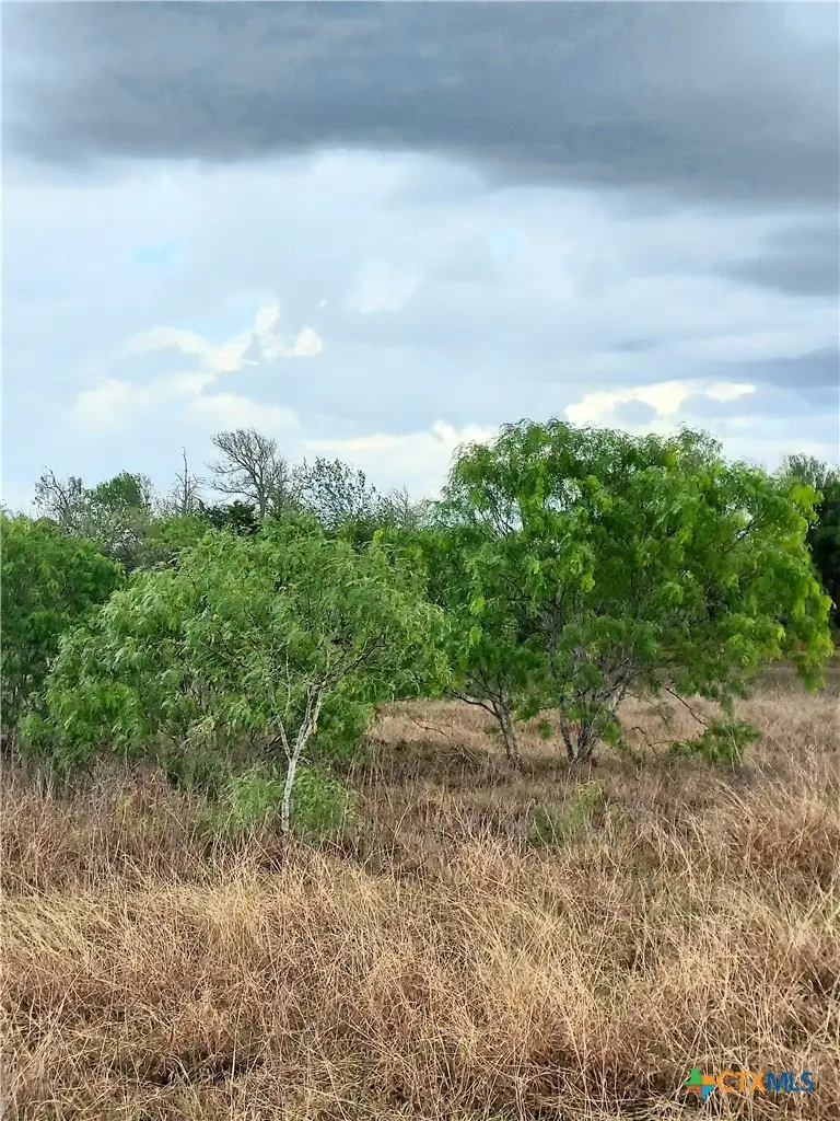 1060 Fox Lane, Lockhart, TX 78644 - #3