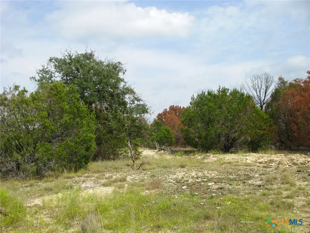 Lot 102 Ph 6 Private Road 42101, Evant, TX 76525 - #1