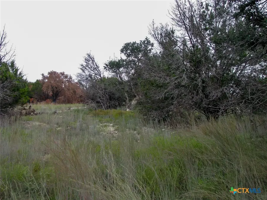 Lot 102 Ph 6 Private Road 42101, Evant, TX 76525 - #2