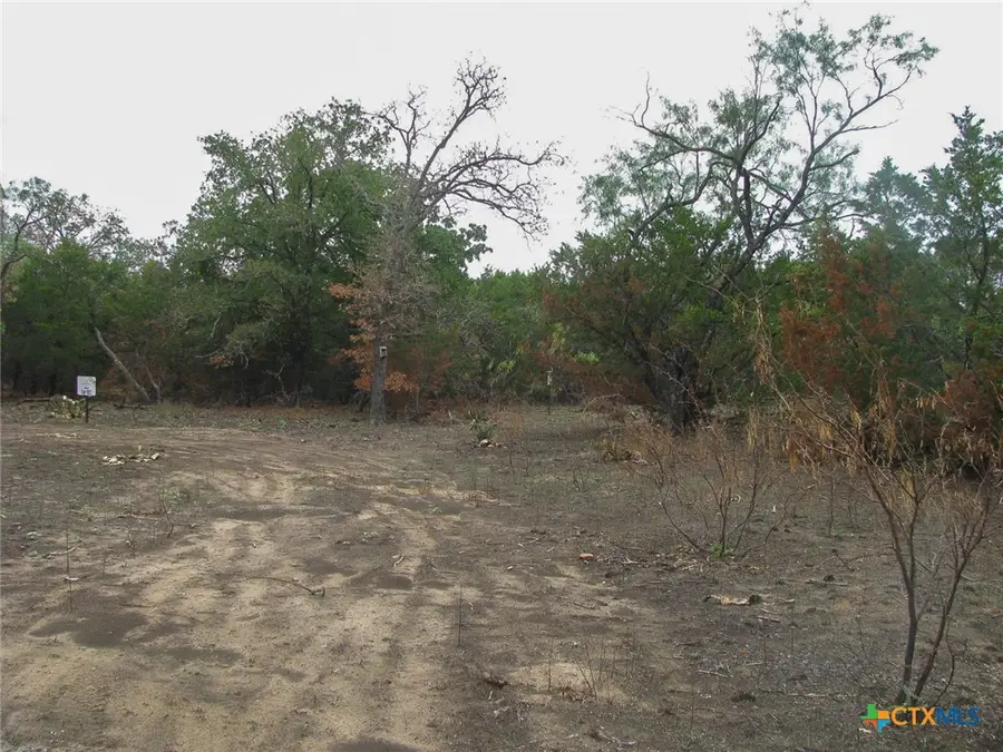 Lot 102 Ph 6 Private Road 42101, Evant, TX 76525 - #3