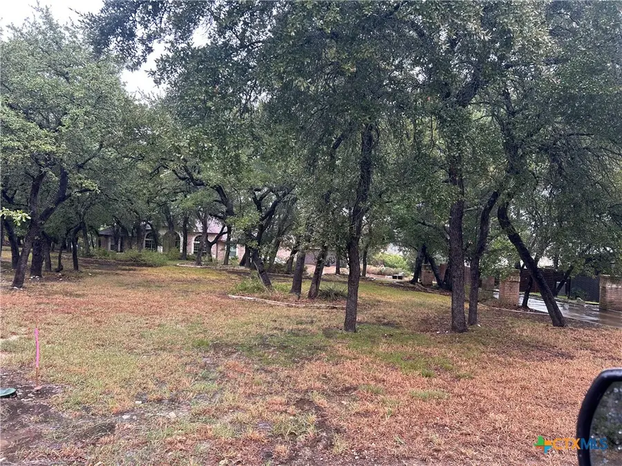 9783 Arroyo Drive, Belton, TX 76513 - #3