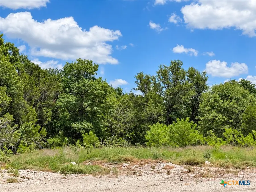 1236 Kenton Parkway, Salado, TX 76571 - #3