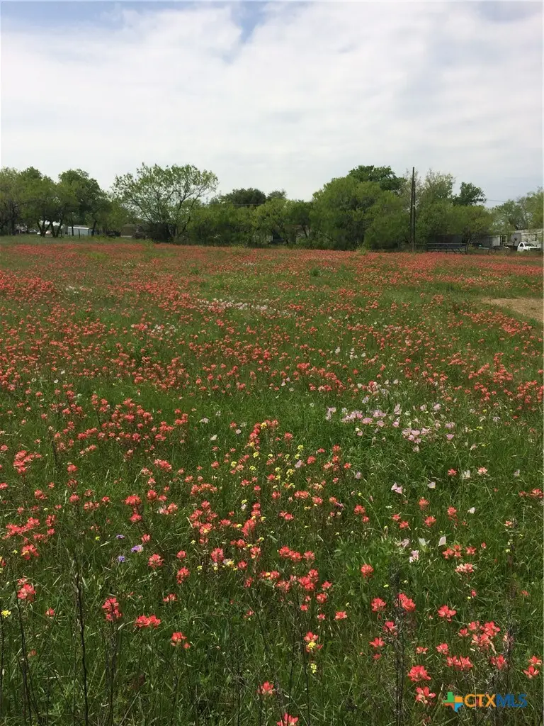 TBD ( lot 245) Sunrise, Seguin, TX 78155 - #3