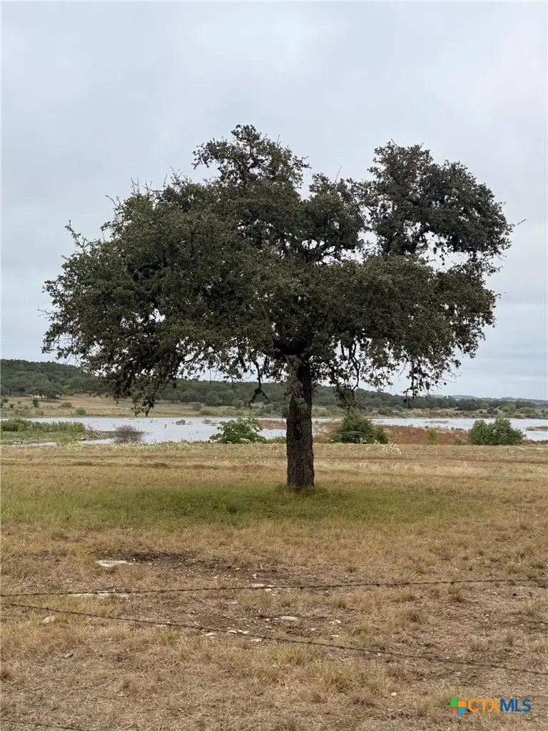 4401 Potters Creek Road, Canyon Lake, TX 78133 - #3