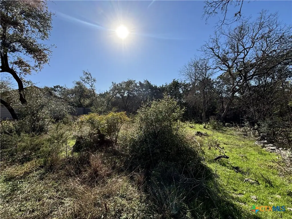 17 Cliffside Circle, Morgans Point Resort, TX 76513 - #1