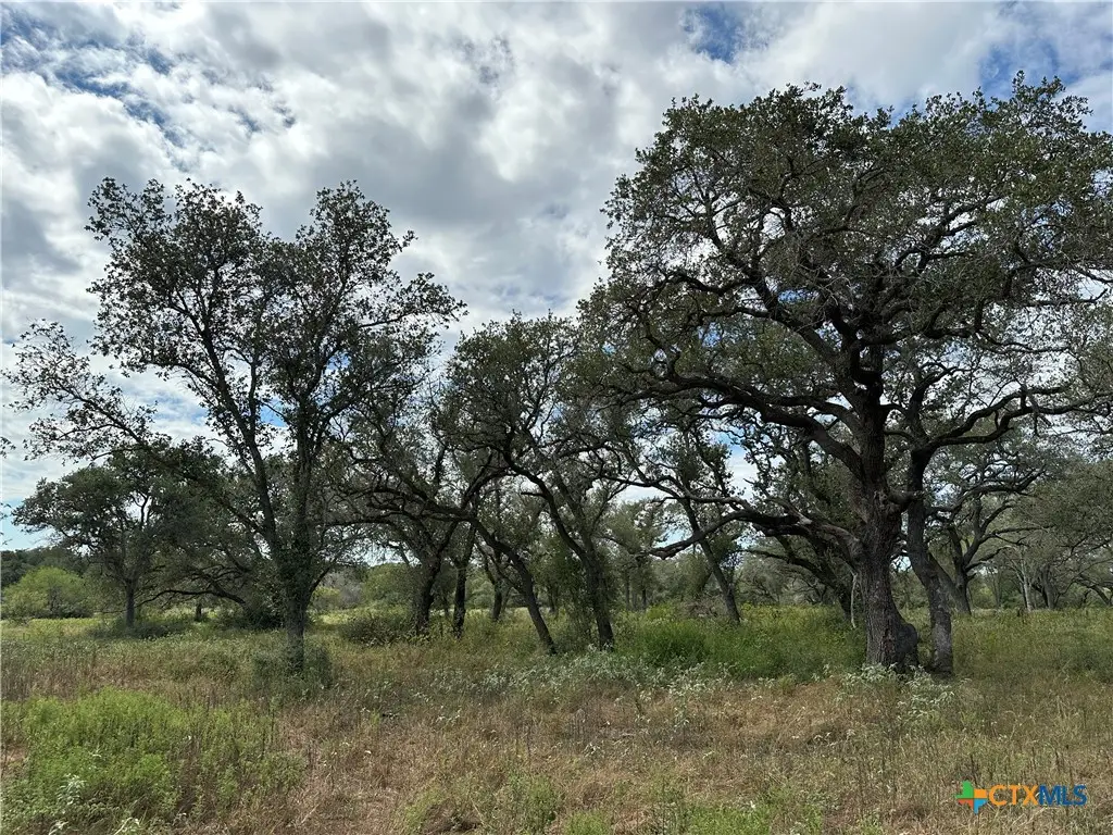 Tract 4 Regan, Victoria, TX 77905 - #1