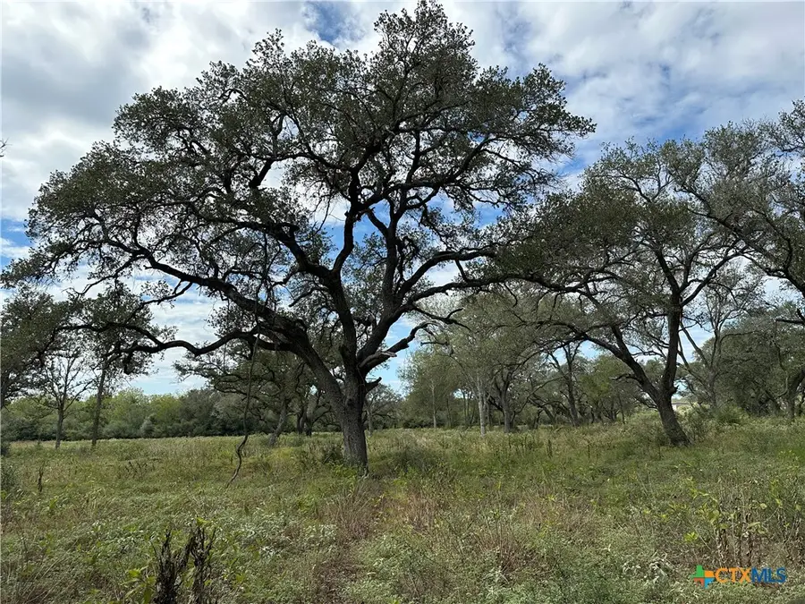 Tract 4 Regan, Victoria, TX 77905 - #2
