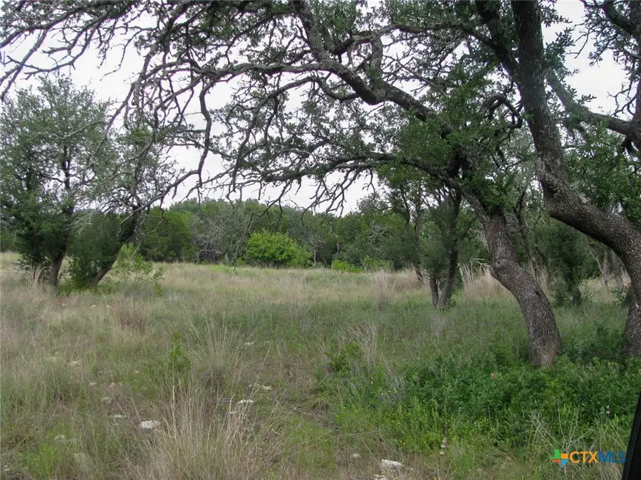 Lot 106 PH 6 Pr 42101, Evant, TX 76525 - #2