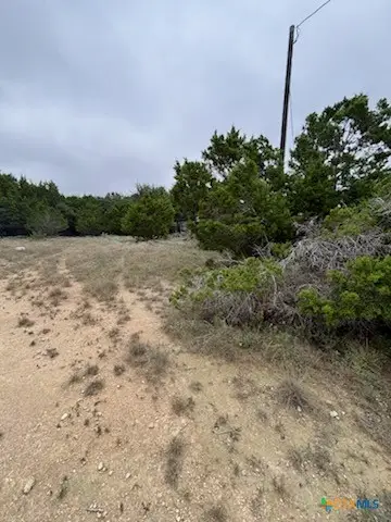2306 Deer Run Pass, Canyon Lake, TX 78133 - #1