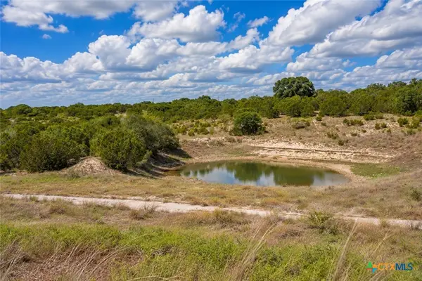 Lot 100 River Shoals Drive, Kempner, TX 76539