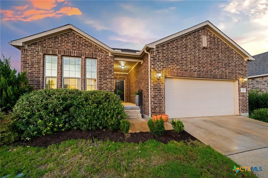 1539 Balcones Fault, New Braunfels, TX 78132 - #1