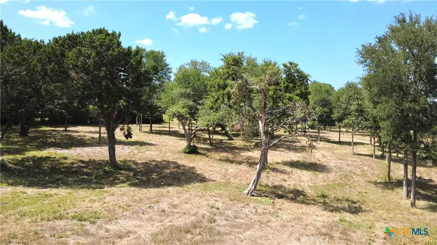 Lot 3 Smoke Signal Road, Belton, TX 76513 - #3
