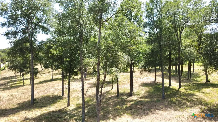 Lot 4 Smoke Signal Road, Belton, TX 76513 - #3