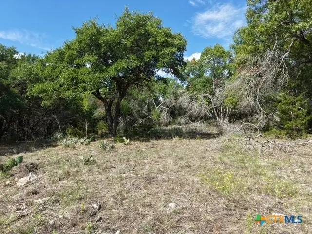 3931 County Road 101, Purmela, TX 76566 - #3
