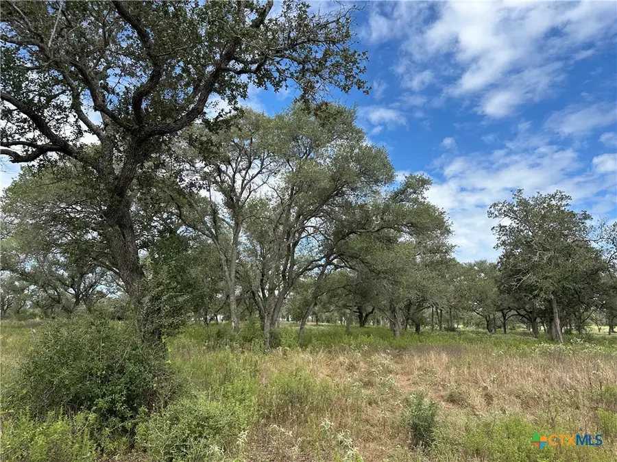 Tract 3 Regan Lane, Victoria, TX 77905 - #2