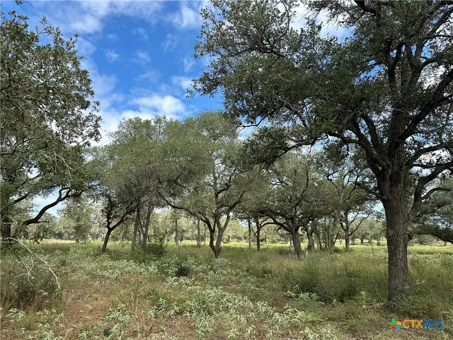 Tract 3 Regan Lane, Victoria, TX 77905 - #3