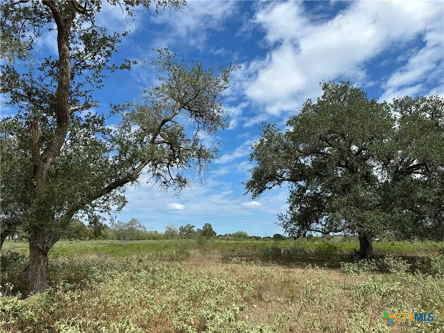 Tract 2 Regan Lane, Victoria, TX 77905 - #3