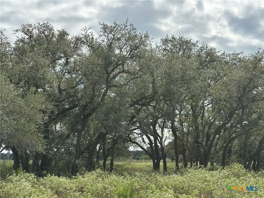 Tract 1 Regan Lane, Victoria, TX 77905 - #2