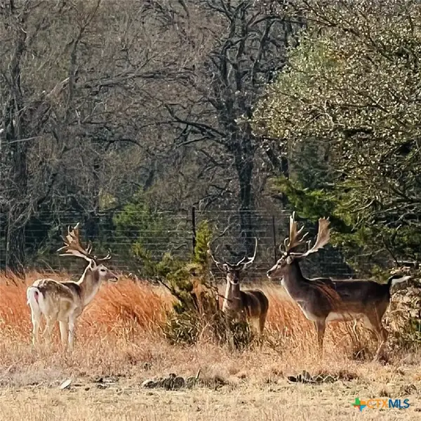 2265 County Road 106, Purmela, TX 76566