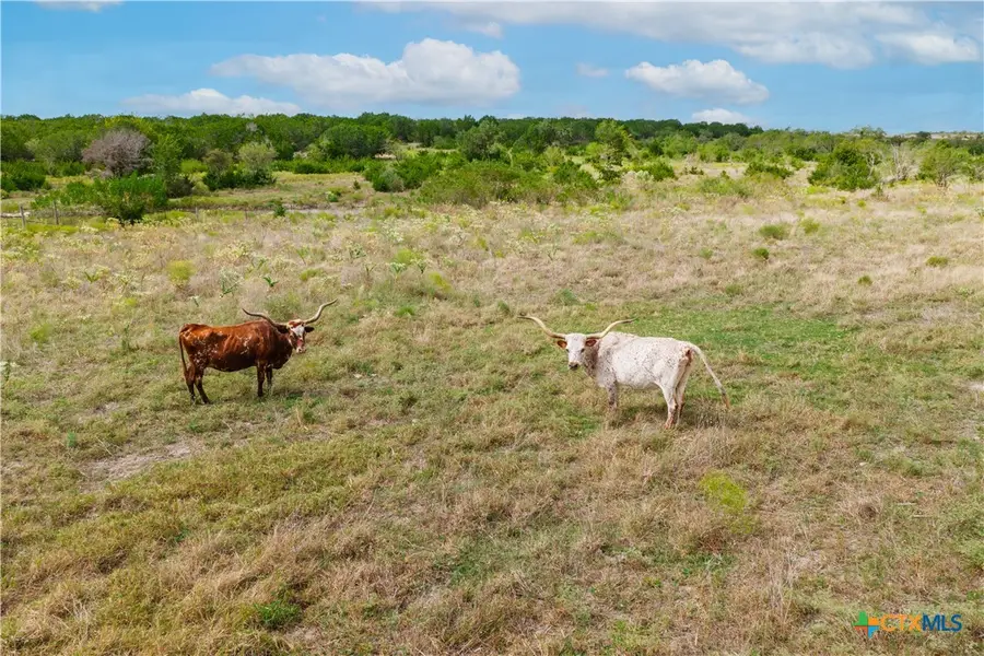 TBD Cr 208, Burnet, TX 76550 - #2