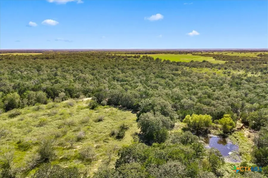 6625 N Old Smithville Road, Flatonia, TX 78941 - #2