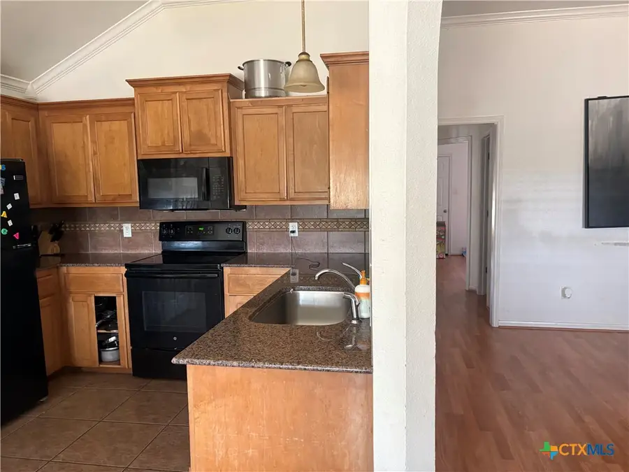 239 County Road 3377, Kempner, TX 76539 - #3