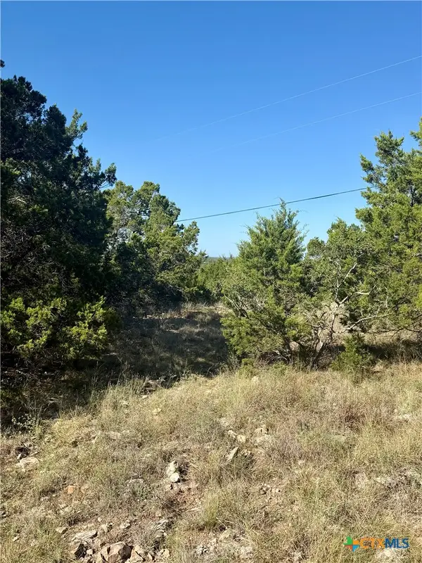 905 Mimosa Court, Fischer, TX 78623