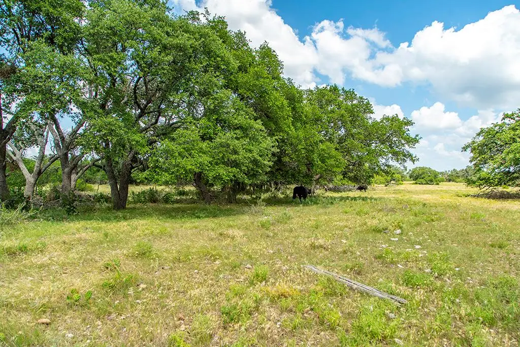 21882 Fm 2093, Harper, TX 78631 - Image #1