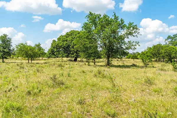 21688 Fm 2093, Harper, TX 78631