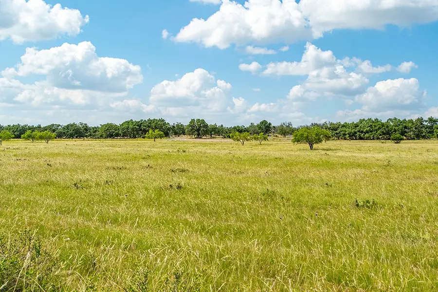 21688 Fm 2093, Harper, TX 78631 - Image #3