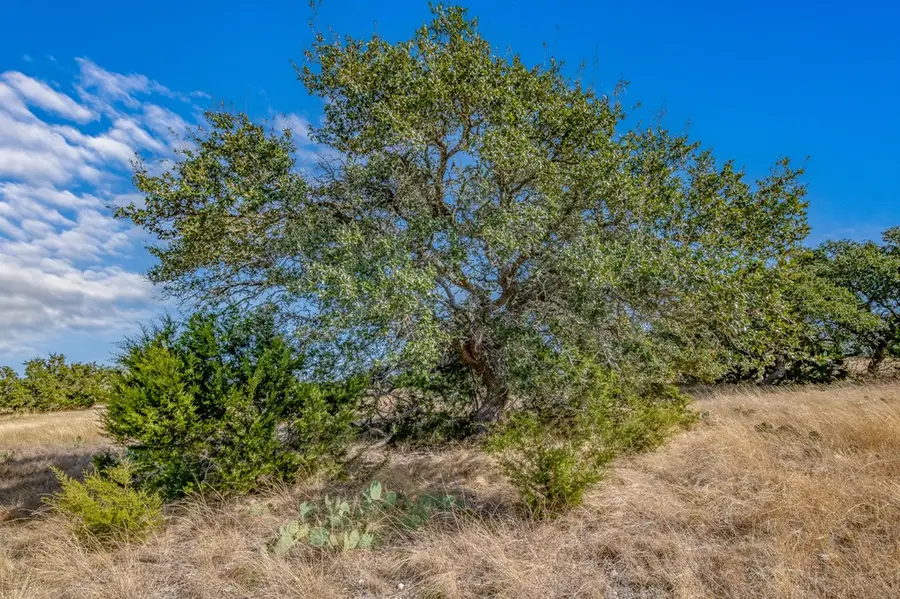 234 Lower Reservation Rd, Harper, TX 78631 - Image #3