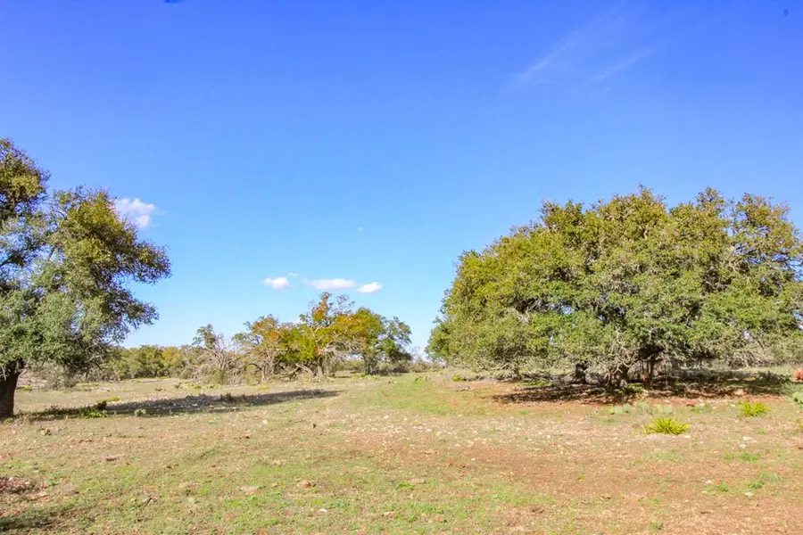 963 Josephine Rd, Harper, TX 78631 - Image #3