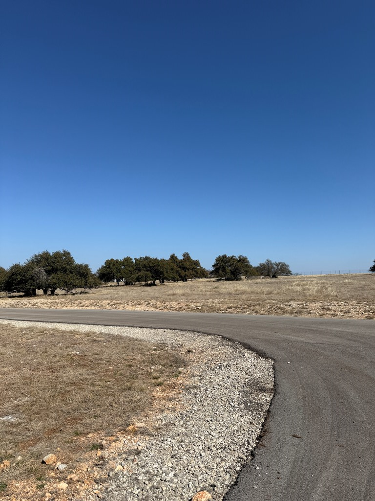 83 Stock Pond Dr, Harper, TX 78631 - #3