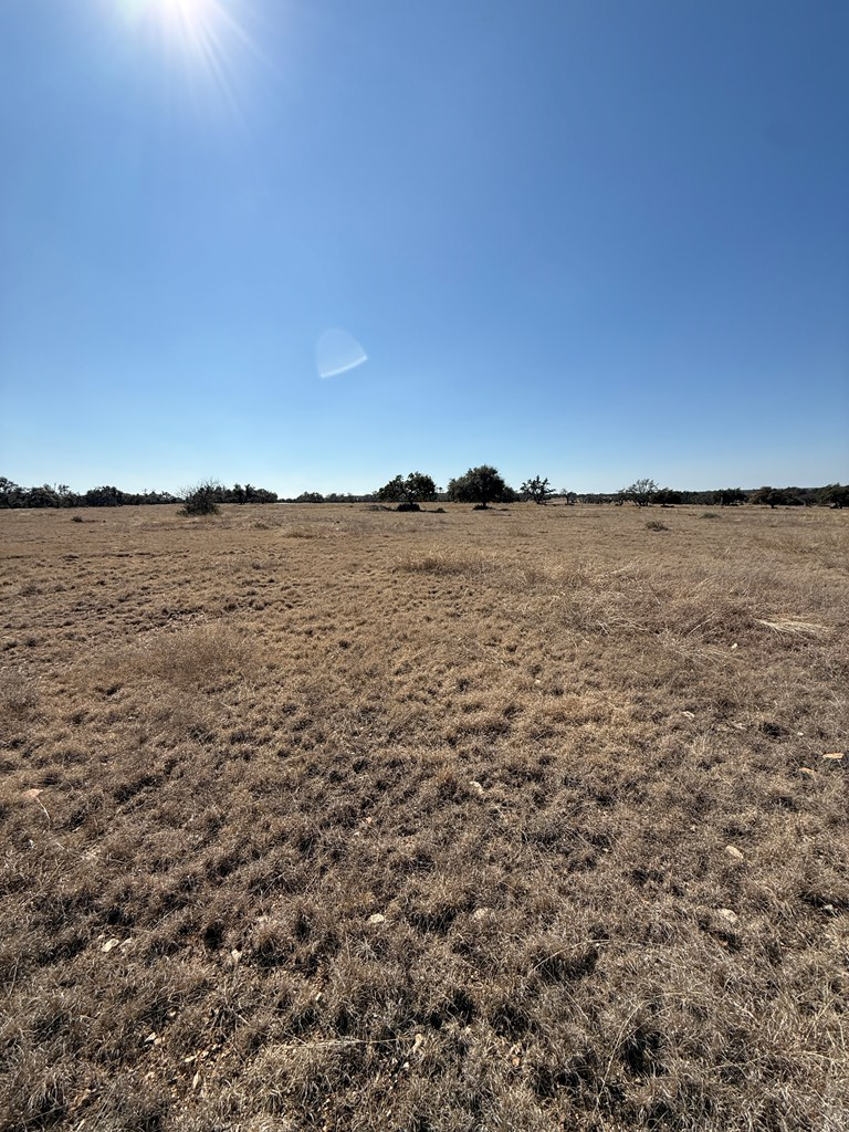 84 Stock Pond Dr, Harper, TX 78631 - #3