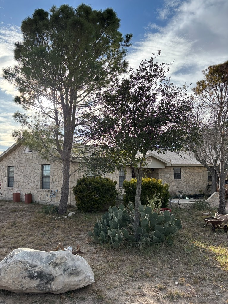 253 Molley Rd, Brackettville, TX 78832 - #3