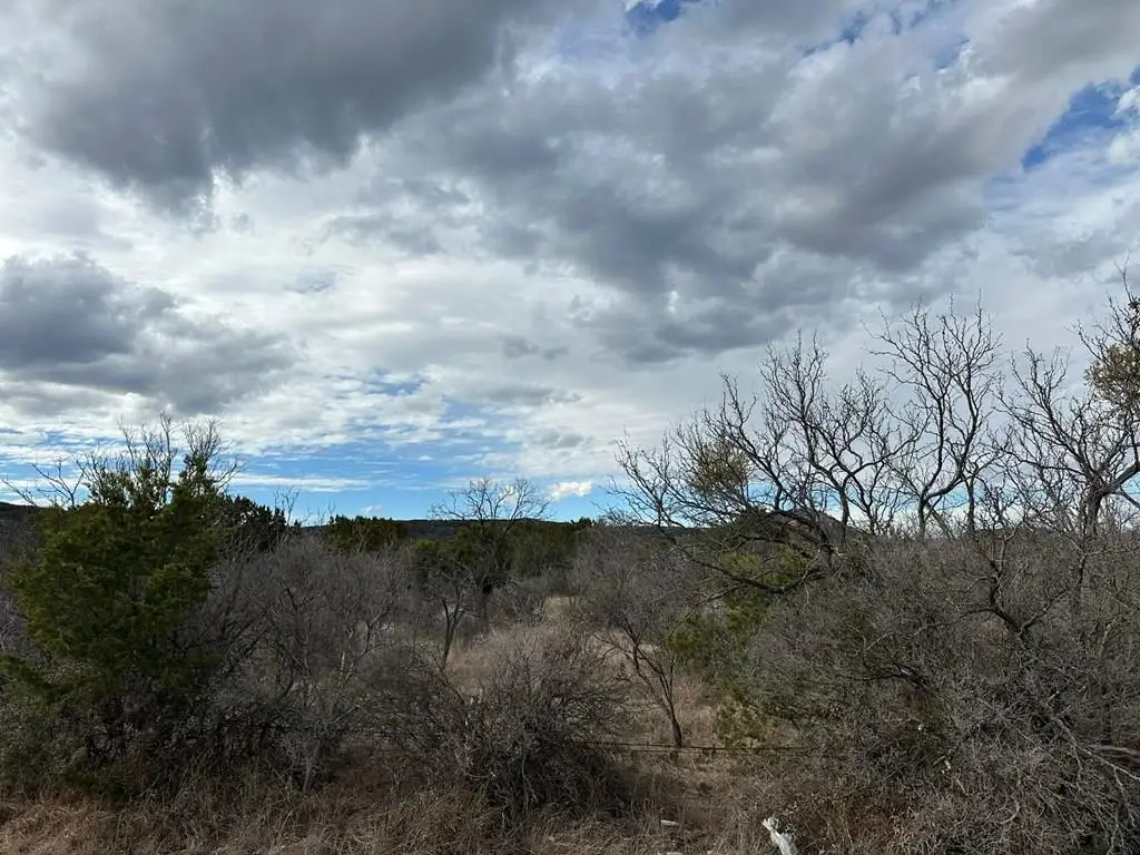 Tract G-2 County Rd 311, Junction, TX 76849 - #1