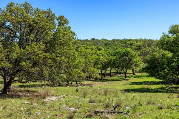 215 Dally Rd, Fredericksburg, TX 78624