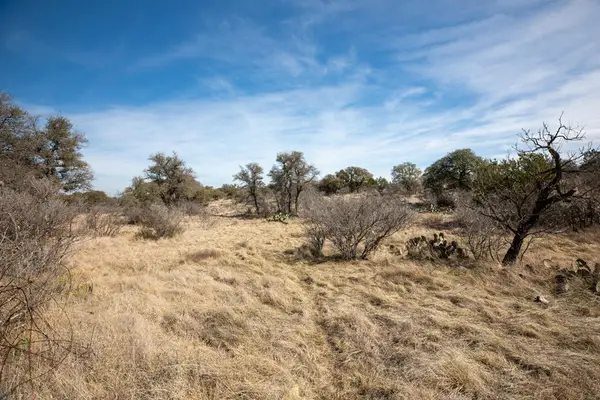 16719 Lot 2 Salt Branch Loop, Mason, TX 76856
