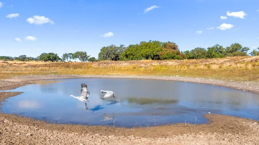 2482 Ranch Rd 2721, Johnson City, TX 78636 - #3