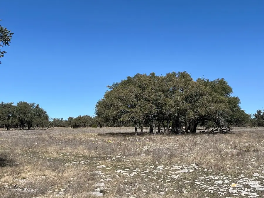 171 Crooked Tree Circle, Harper, TX 78631 - #2