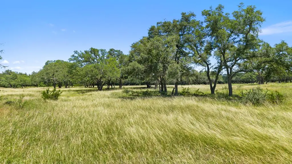 TBD TR3 Lindeman Ln, Blanco, TX 78606 - #1
